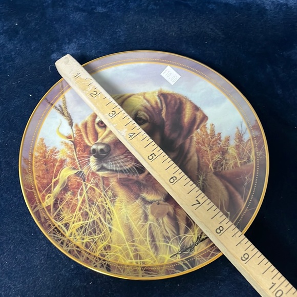 VTG Hoosier Portrait Hound Plate - Picture 2 of 3